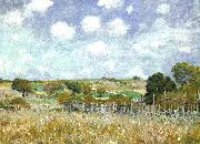 Alfred Sisley Meadow oil painting reproduction